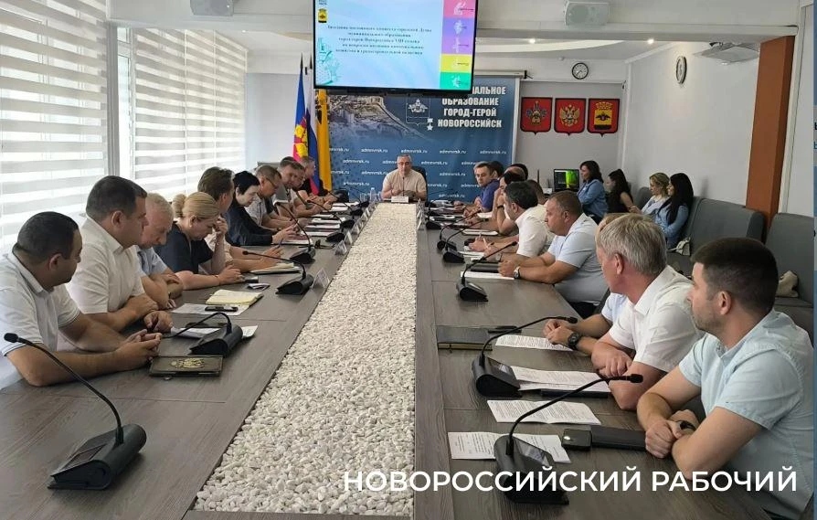 План любой ценой? В Новороссийске в суде оспаривают штрафы, выписанные «Стражем»

На комитете по ЖКХ