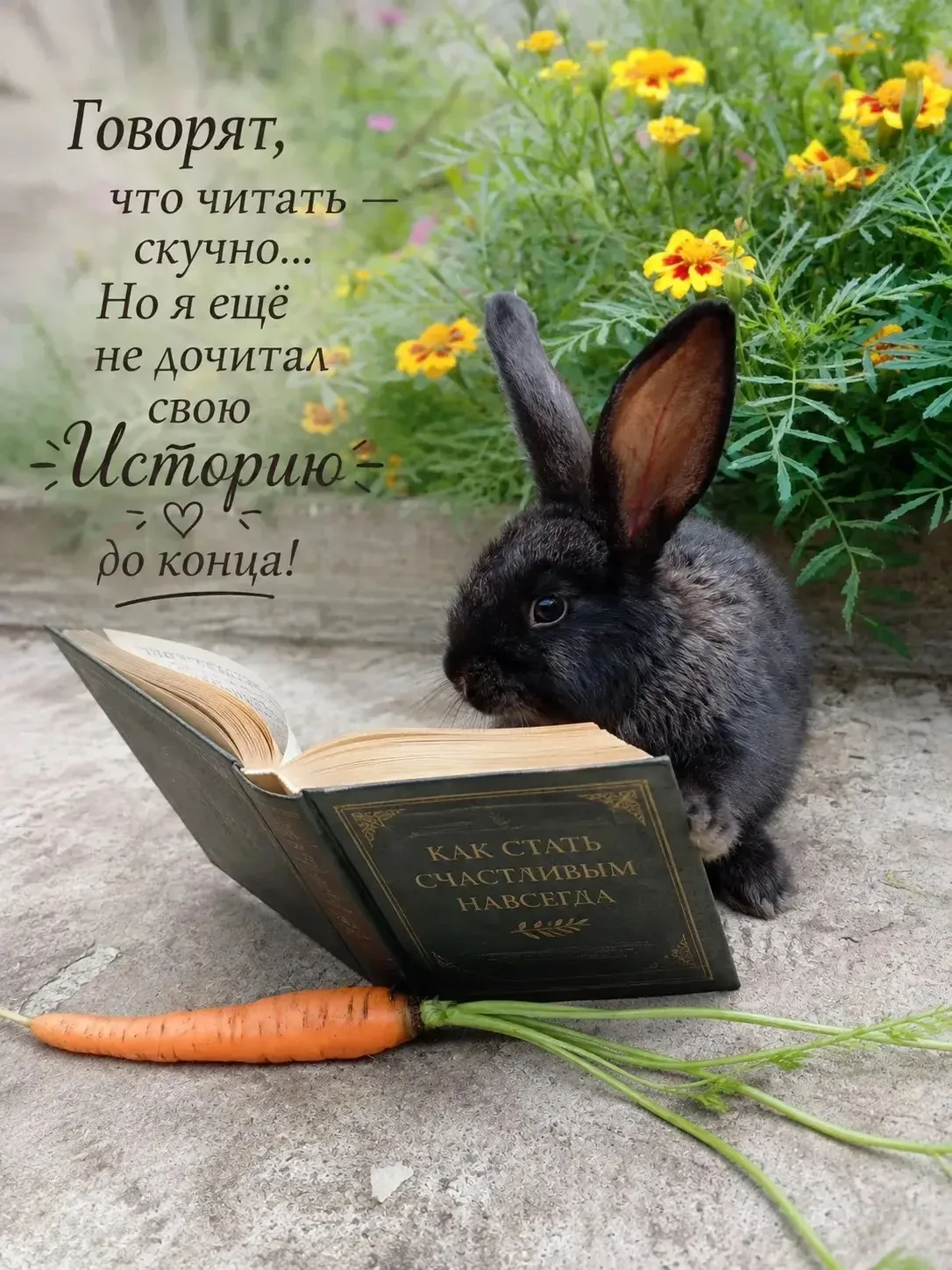 Друзья, с добрым утром! ☕️      Сеня желает прекрасного настроения и удачного дня! 😊