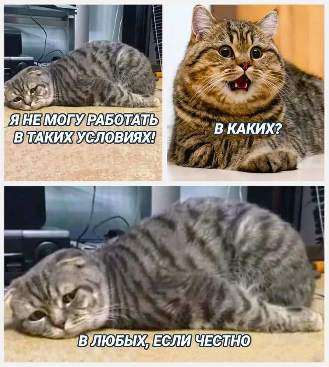 ____________________
Помощь со всеми видами работ

👉Написать нам в MAX
👉Написать нам в Telegram