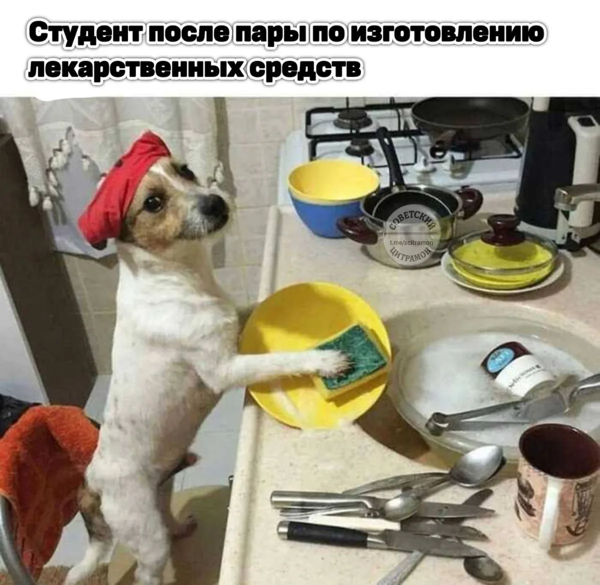 Цитрамон. Подписаться
