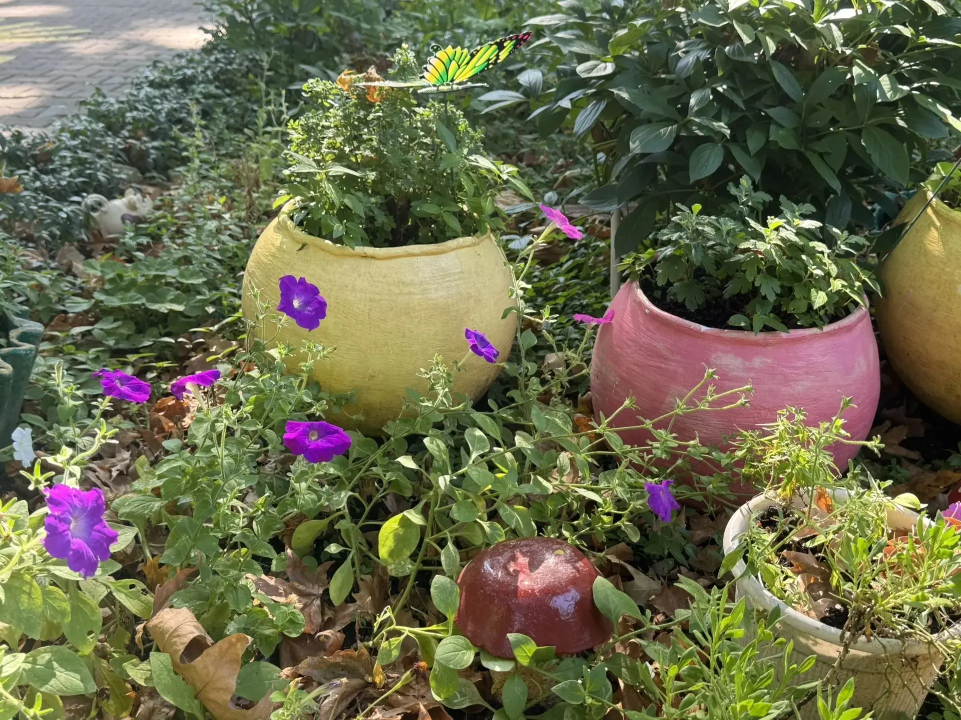 🌸 Трудимся и заботимся о природе! 🌿💧