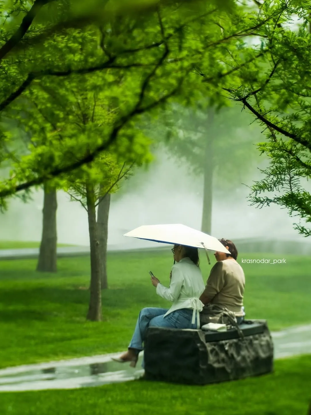 Новая мистическая локация в нашем парке. 🌫️