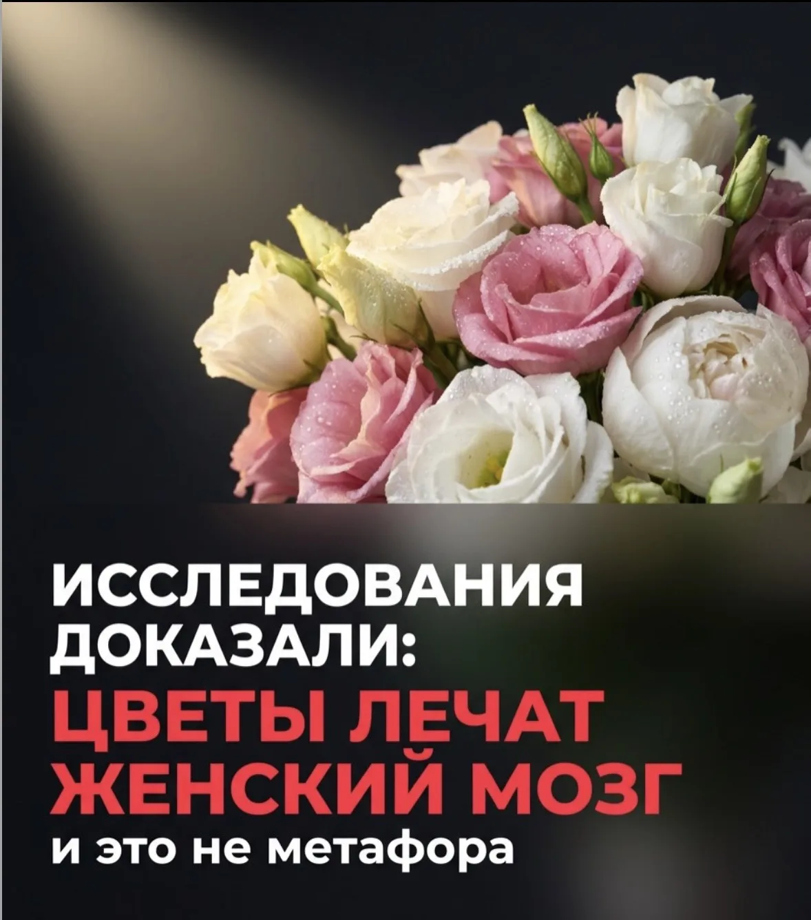 ЕСЛИ У ТВОЕЙ «ПОЕХАЛА КРЫША» - КУПИ ЦВЕТОВ