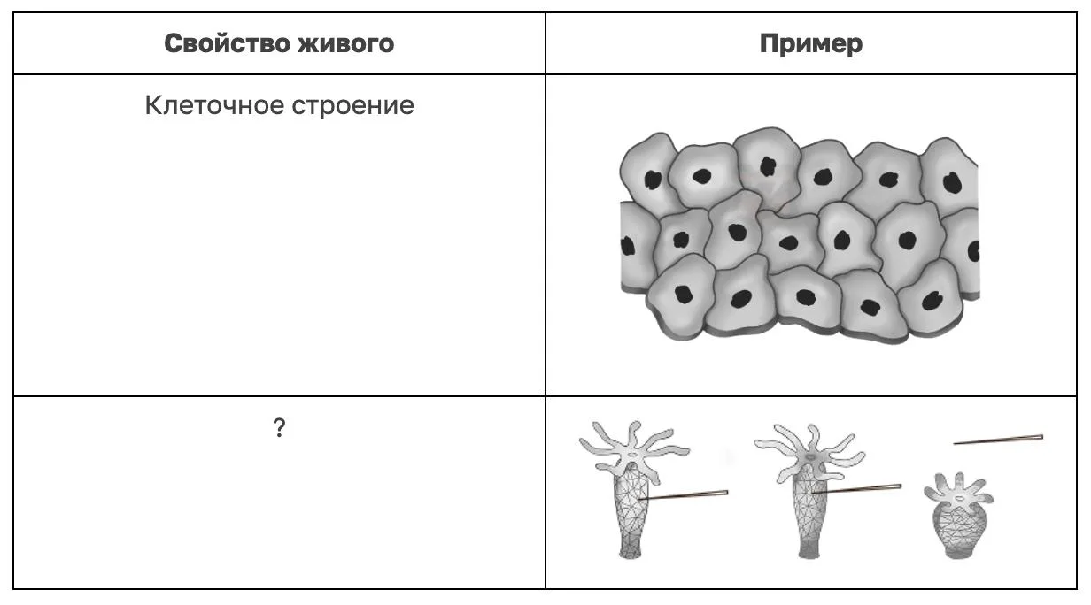 Рассмотрите таблицу «Свойства живого» и заполните пустую ячейку, вписав соответствующий...