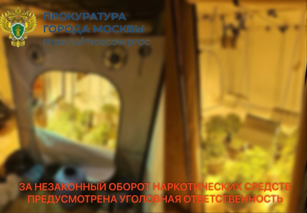 43-летний обвиняемый организовал у себя дома на Кантемировской улице производство нарко...