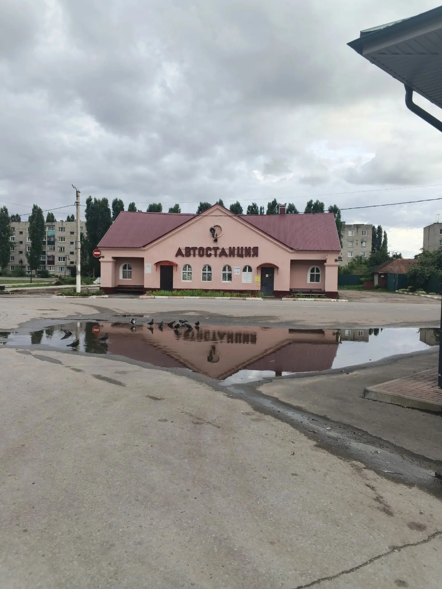 Чаплыгин в Макс 👉 max.ru/chapliginlive