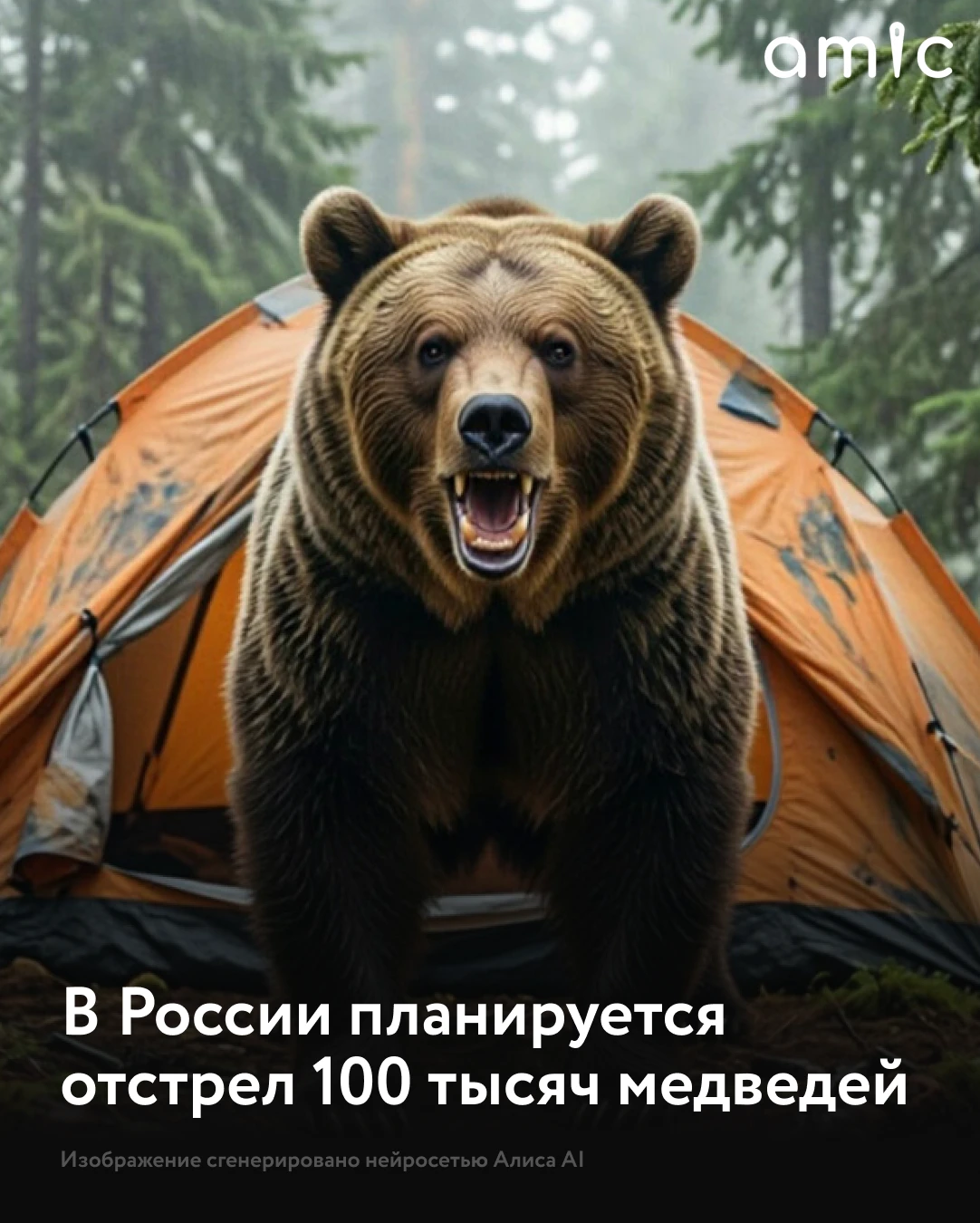 На фоне участившихся нападений хищников на людей российские регионы разрабатывают новые...