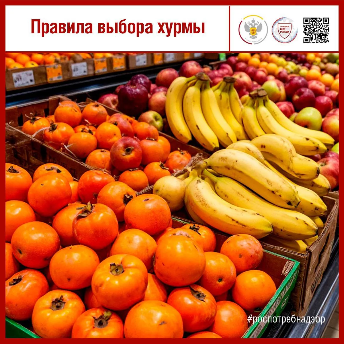Роспотребнадзор делится секретами по выбору хурмы