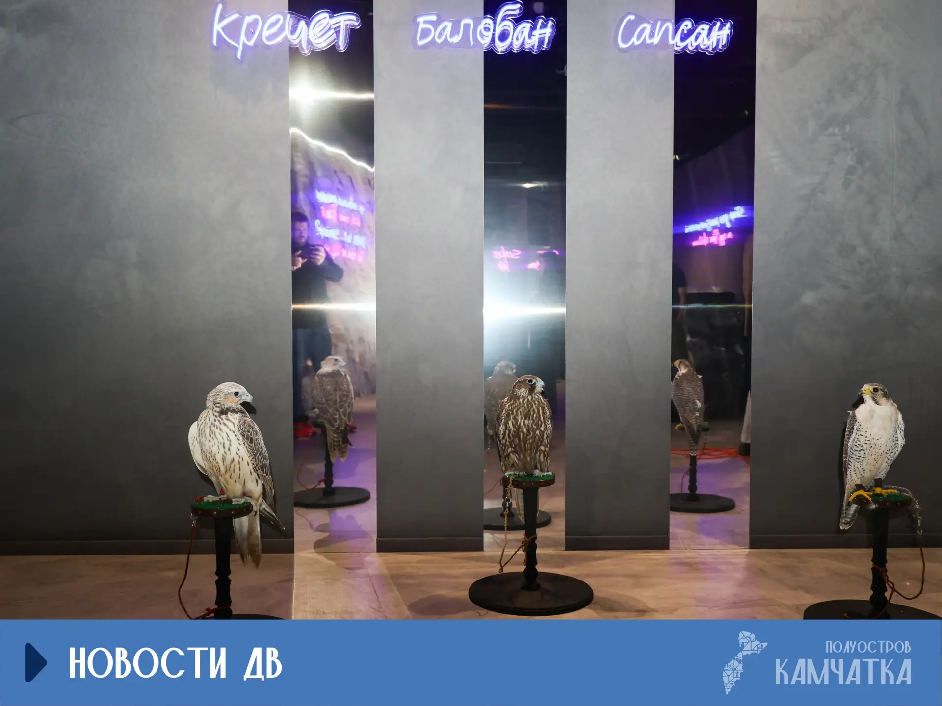 Павильон «Дом сокола» открылся на ВЭФ