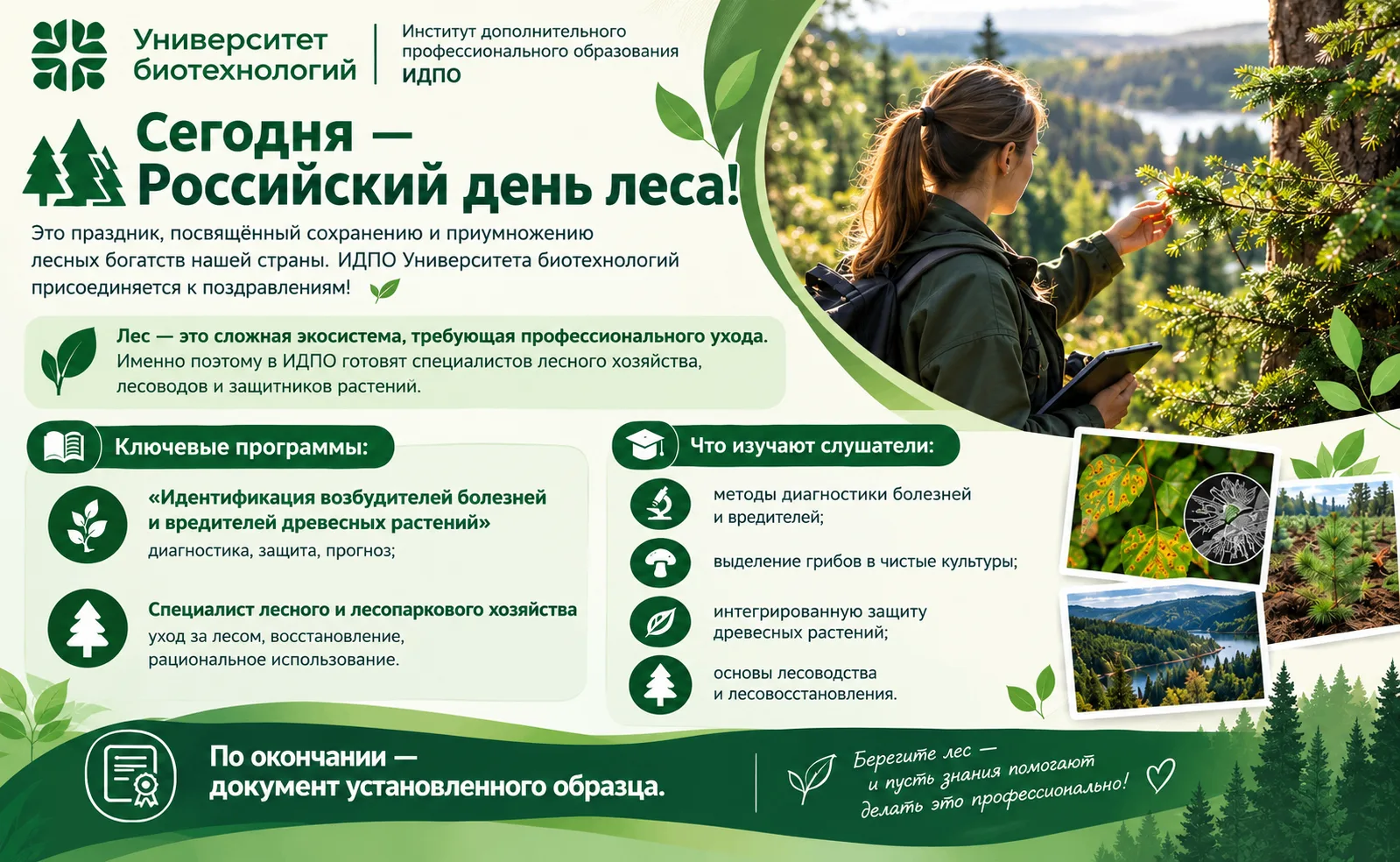 🌲 С РОССИЙСКИМ ДНЁМ ЛЕСА!