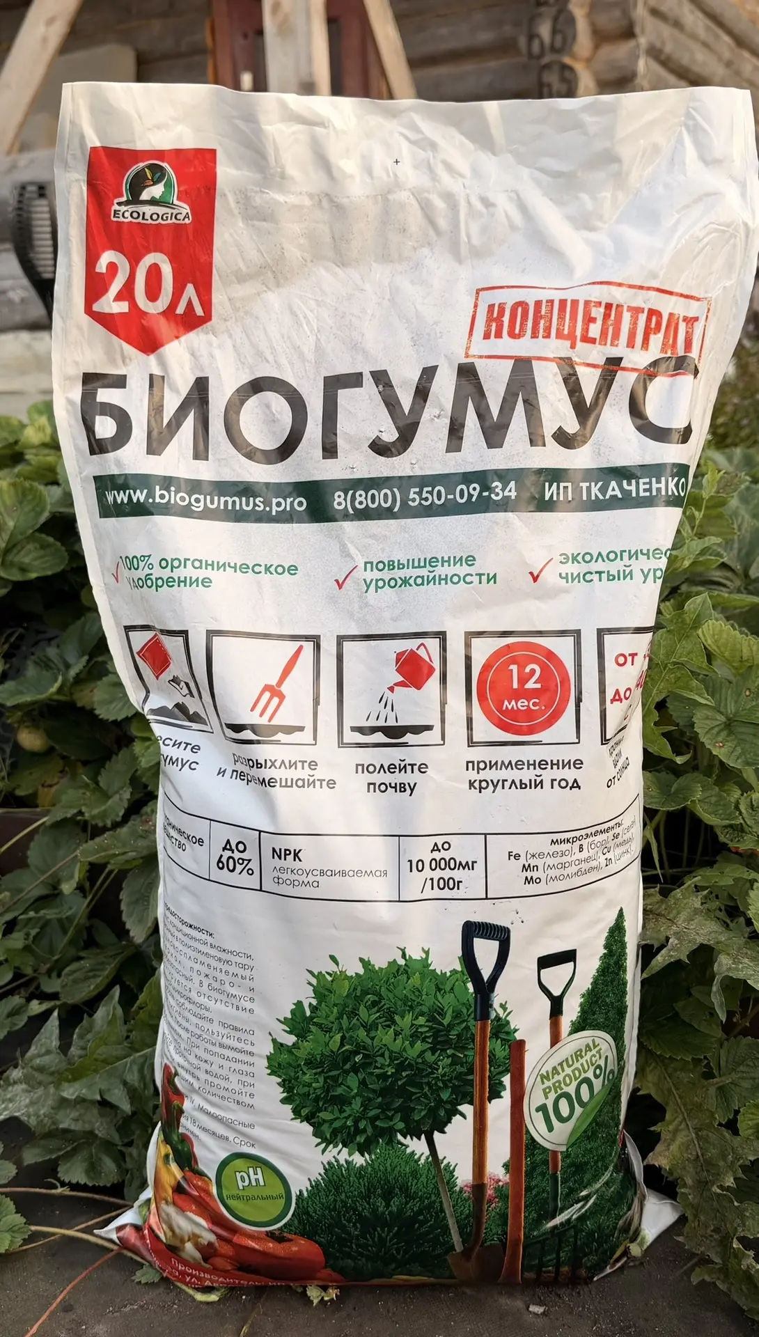 ЧТО СОХРАНИТЬ НА ЗИМУ С ДАЧИ.