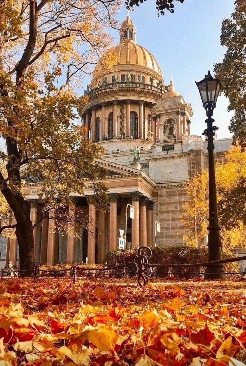 🍁 Бабьего лета в Питере не будет, — «Фобос»