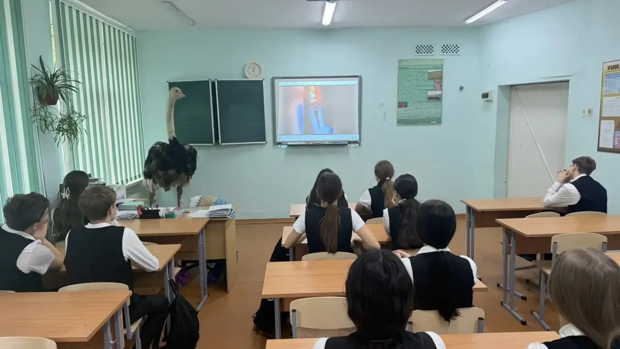📢 Учащиеся 8‑х классов познакомились с социальным видеороликом «Расходник»  Ученики восьмых классов 