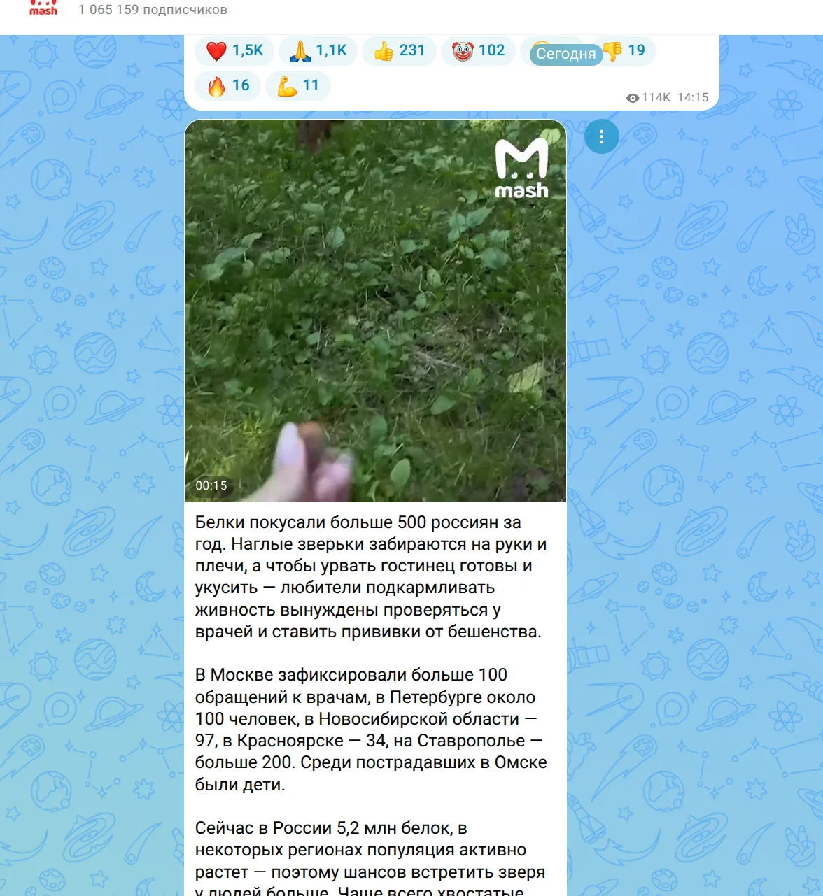 Пока разворачивали борьбу с медведями, стали нападать белки. В России более 5,5 млн белок!