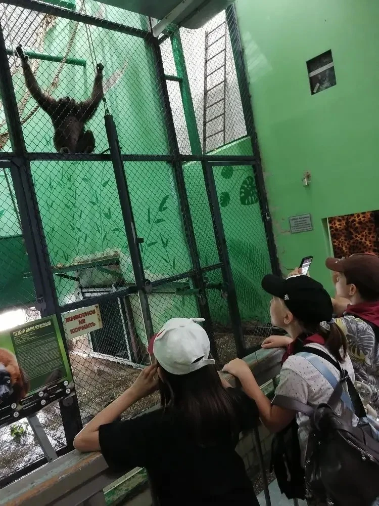 Экскурсия в зоопарк прошла успешно! 🦜

Ребята из ГОЛ познакомились с разными животными:

Змеи: набл