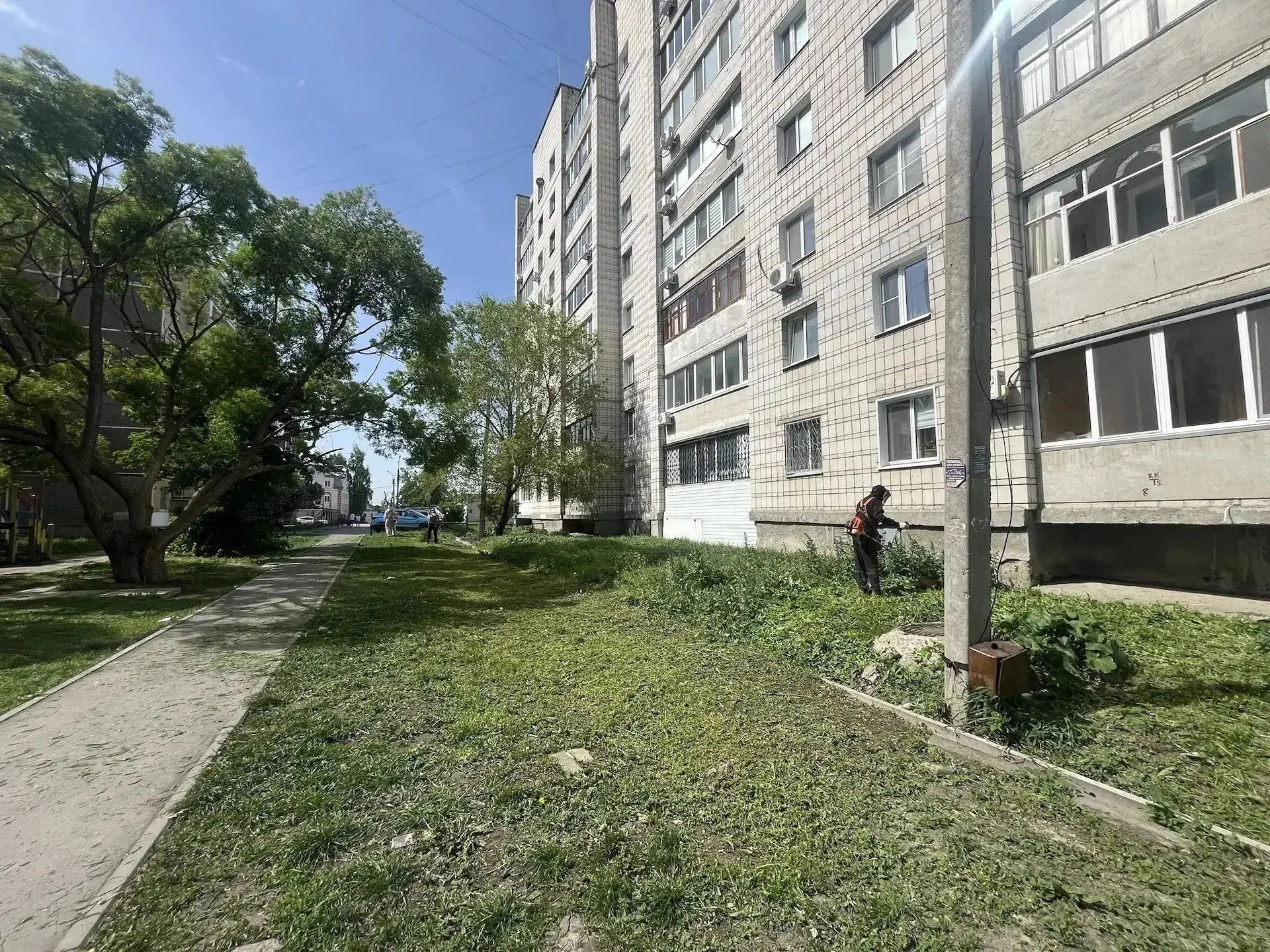 Покос травы на придомовых территориях