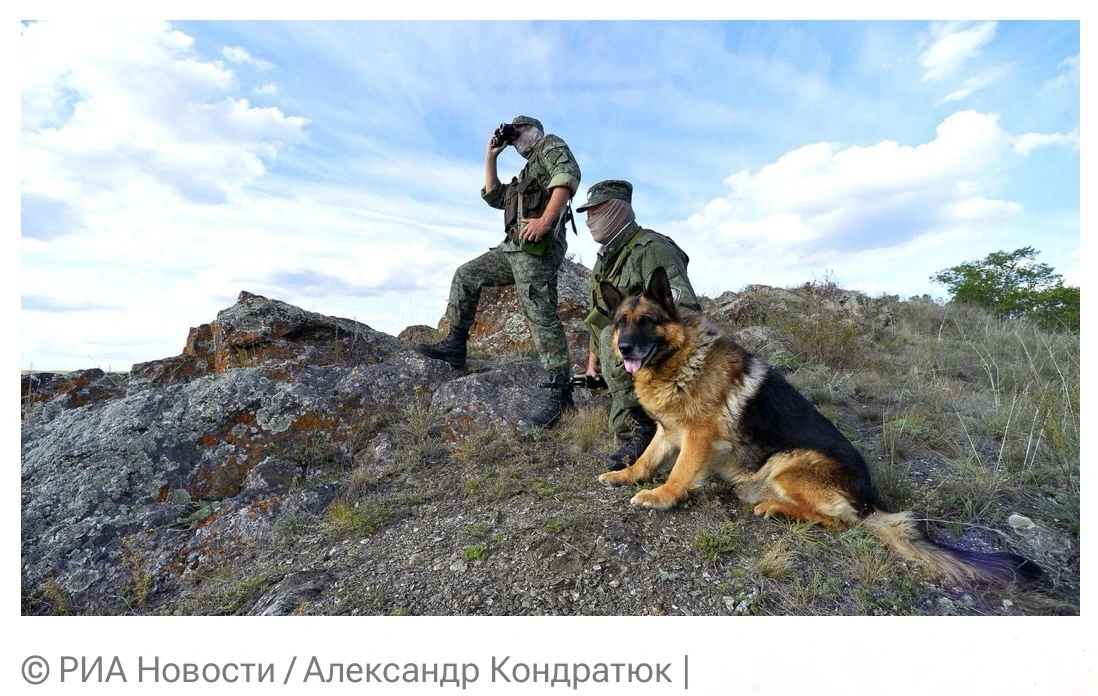 Сегодня свой профессиональный праздник отмечают сотрудники пограничной службы  Они стоят на страже с