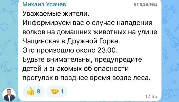 В Ленобласти волки напали на поселок в 40 км от Гатчины