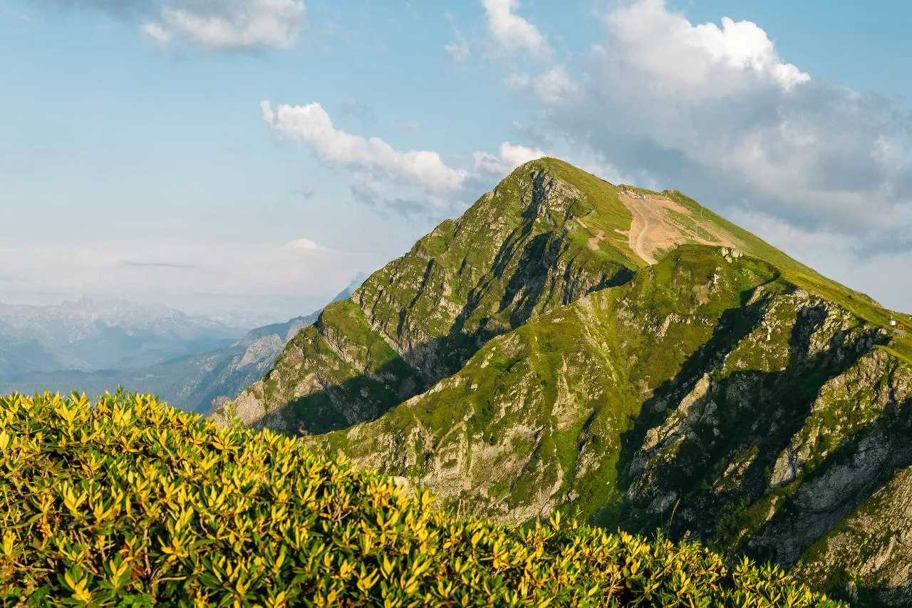 Какие тропы и подъемники планируются к открытию 29 июля🏔

Подъемники: 

🚠 Олимпия
🚠 Заповедный Ле