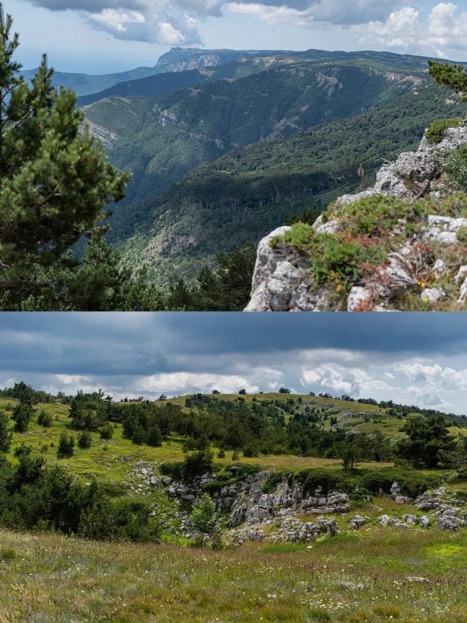 Кемаль-Эгерек – четвертая по высоте гора Крыма. 

С вершины горы видна Ялтинская яйла, Гурзуфское пл