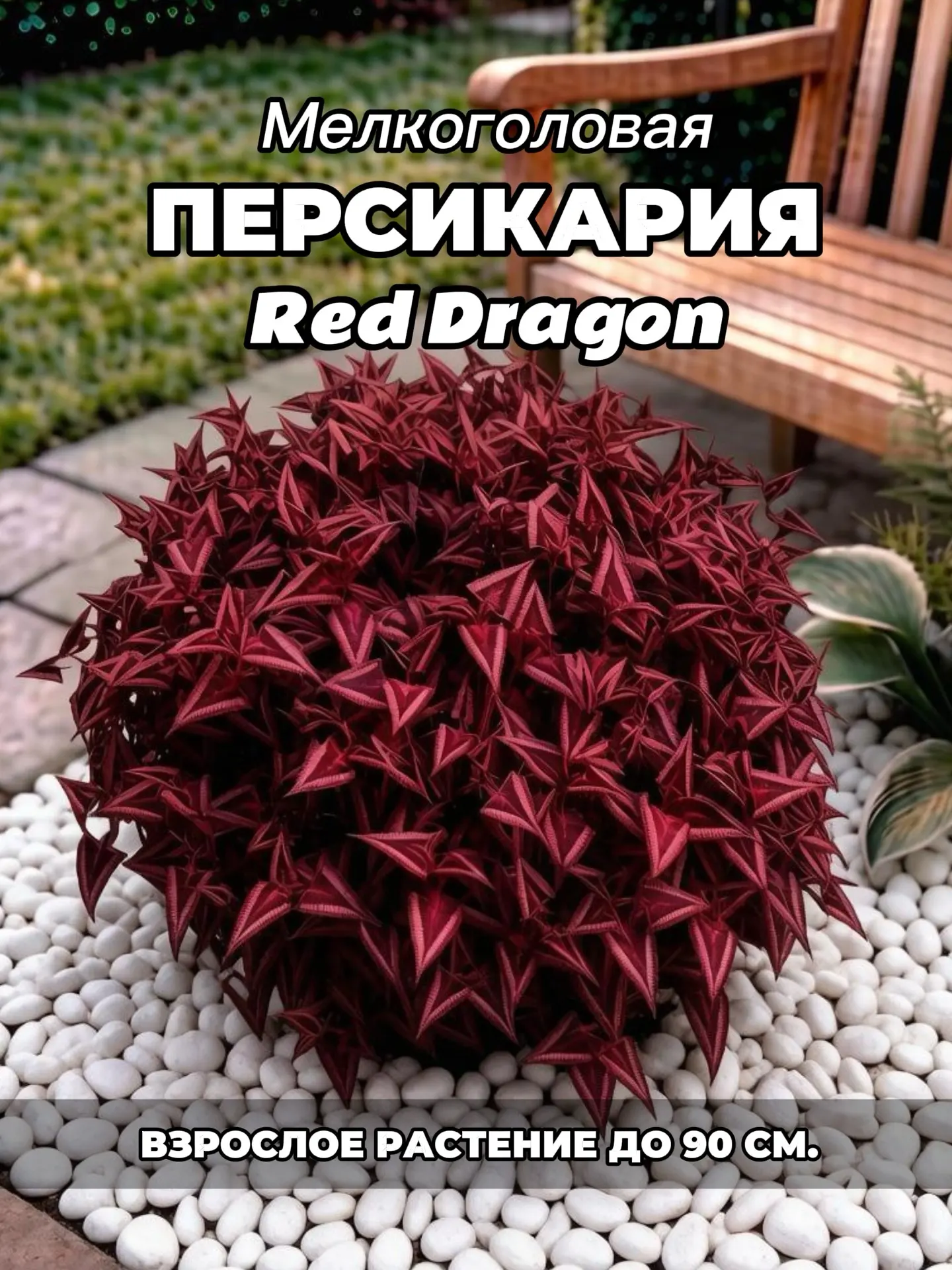 Не хвастаемся. Но очень стараемся для вас😍💚