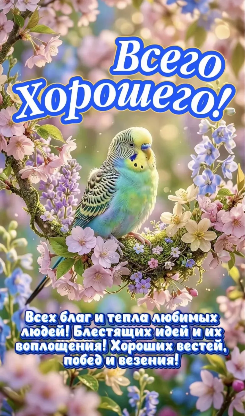 🥰 Оставляйте реакции, если понравилась открытка и делитесь с близкими ❤

Подпишитесь и Вы не сможет