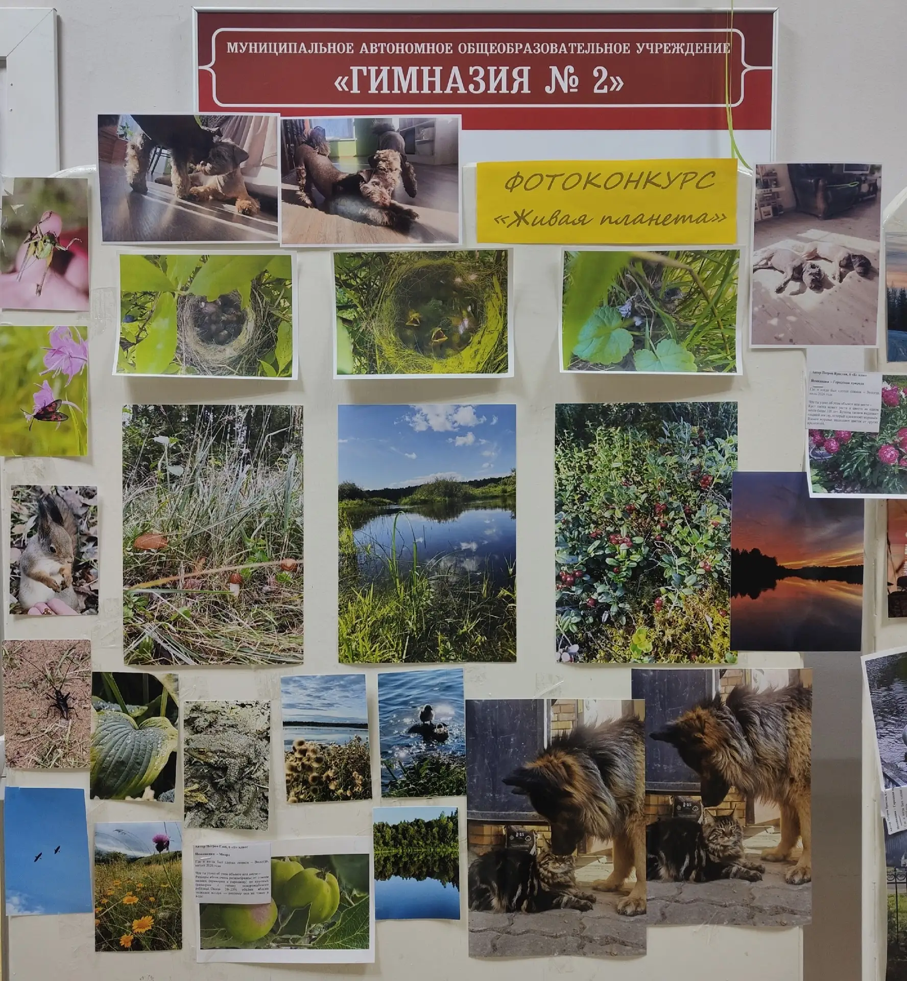 🌿Фотоконкурс «Живая планета» — это творческое состязание для школьников, которое прохо...
