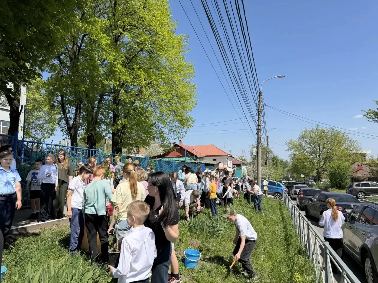 Международная акция «Сад памяти»