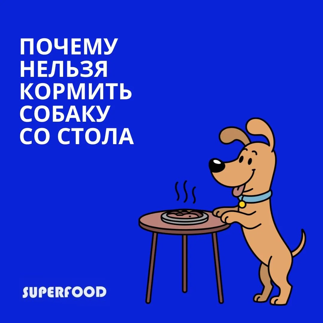 Делай заказ натурального корма через бота в максе🤩