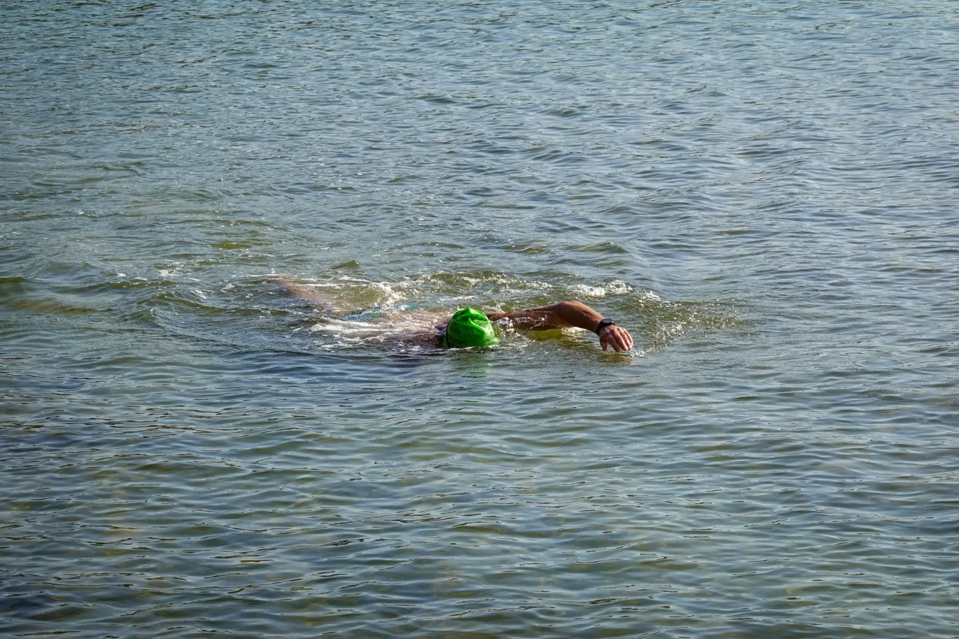 🏊 В Спутнике пройдут всероссийские соревнования по плаванию на открытой воде

С 20 по 29 июня в акв