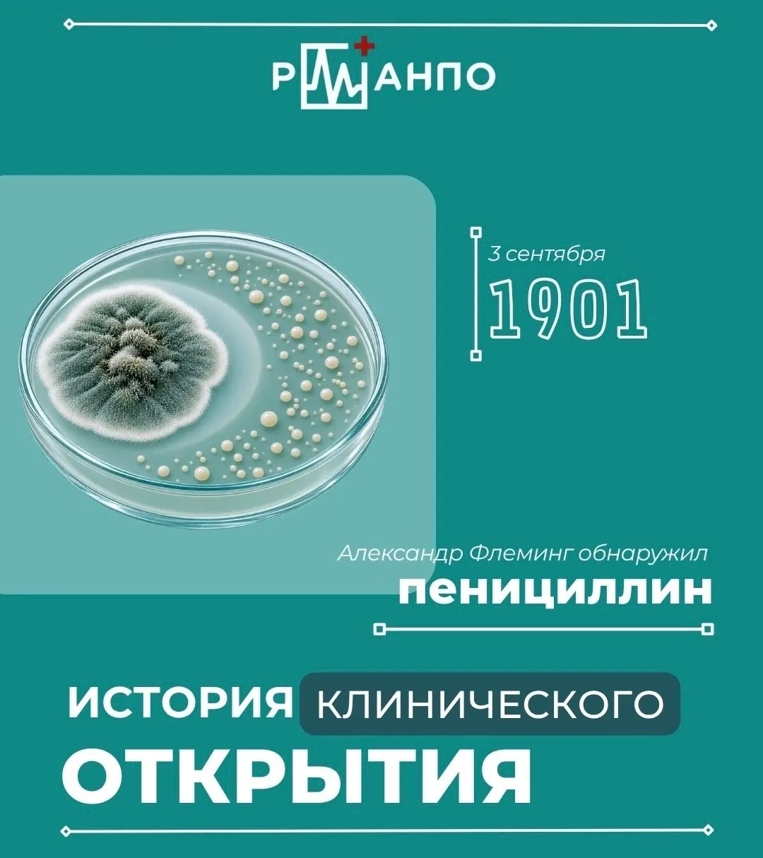 💉История клинического открытия: пенициллин