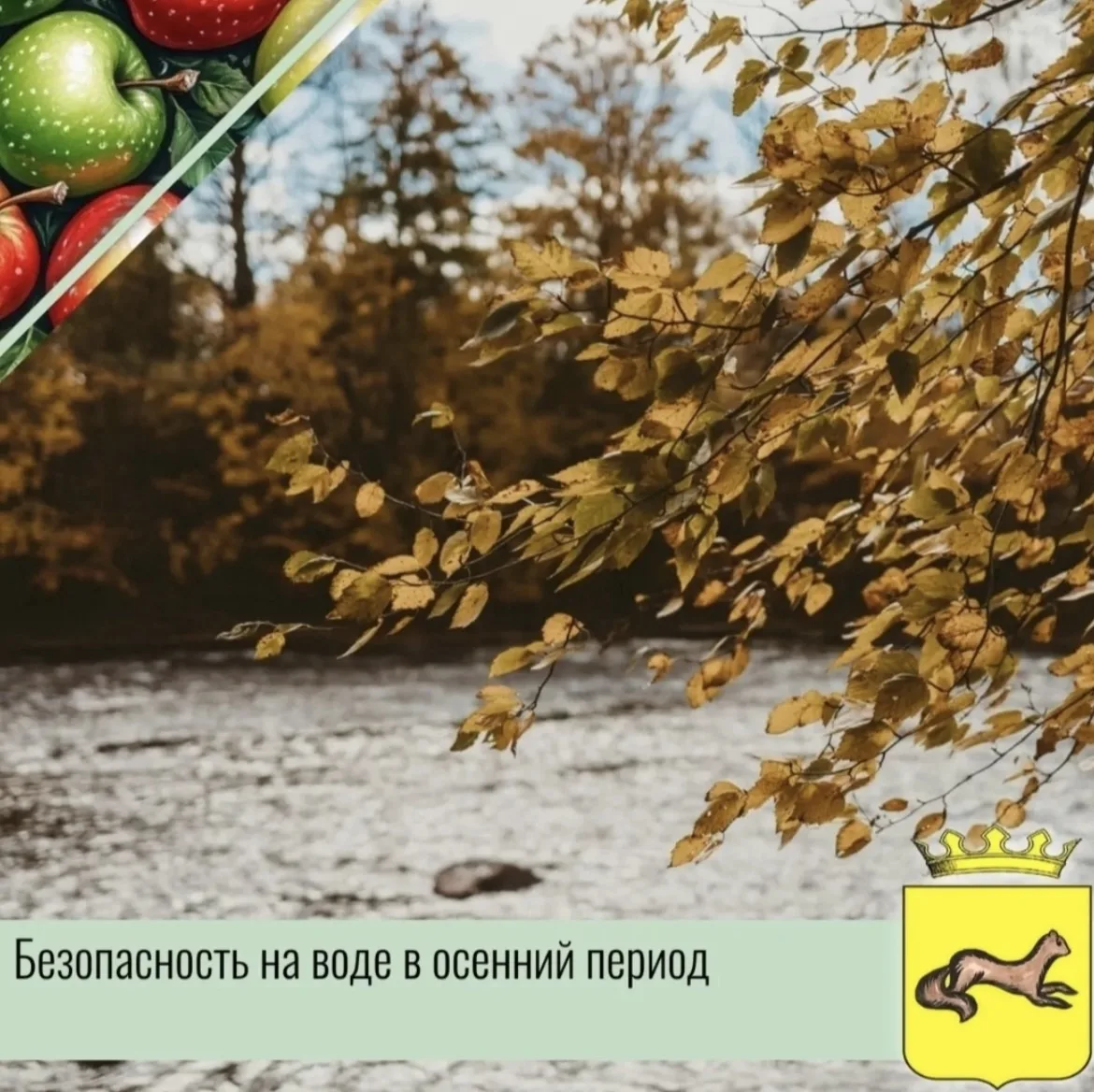 🍂 Золотая осень — время красивых фото у воды, но именно сейчас реки и озера становятся...