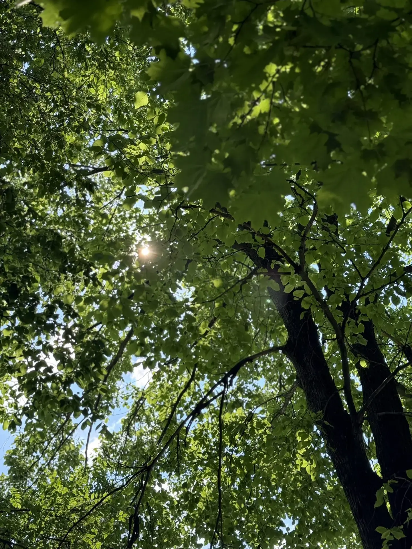 Доброе утро, ТГУ! ☀️

Загрузка пожелания...
Сделайте этот понедельник началом чего-то нового

Хороше