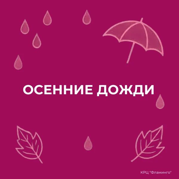 Осенний дождь - дело обычное. И по-своему уютное: жёлтые листья, свежий воздух, тишина ...