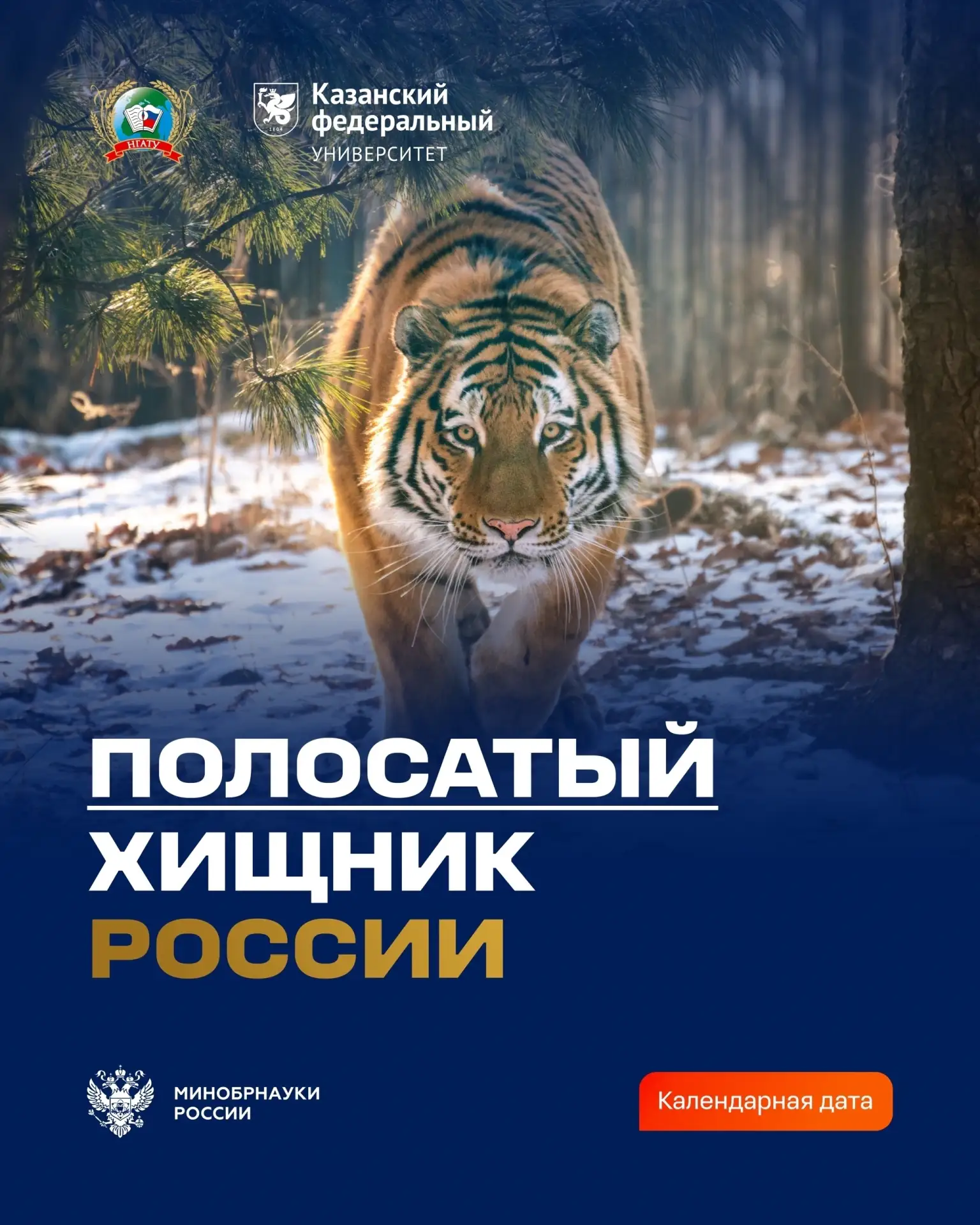 🐅 Продолжаем тему Международного дня тигра!

Вчера мир отмечал этот праздник, но говорить о сохране