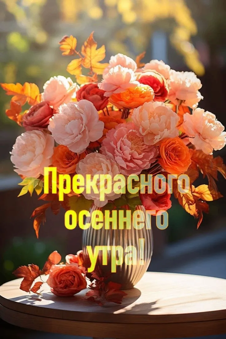 Делитесь открыткой с друзьями и поддерживайте реакцией