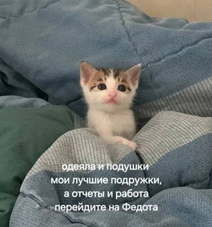 Ульяновские льготники остались без компенсаций ЖКХ