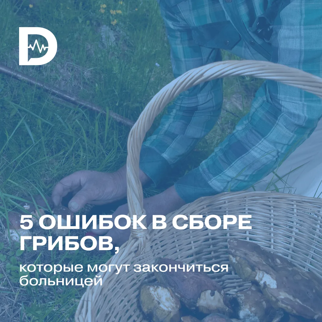 Казалось бы, что сложного в сборе грибов? Главное, чтобы они были в лесу. Но некоторые ...