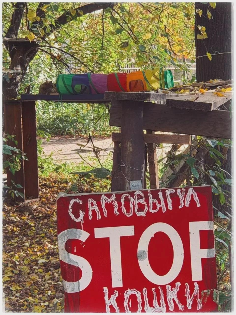 Красота городских улиц