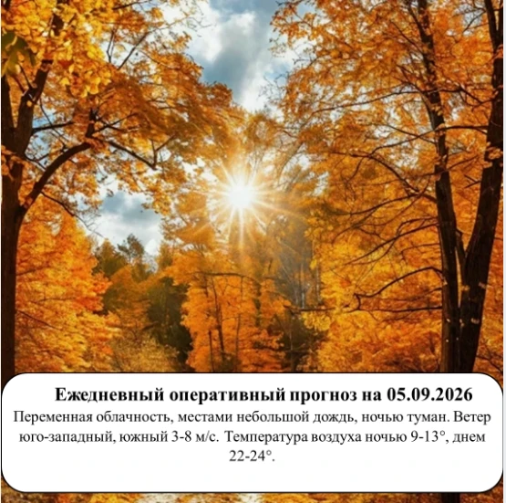 На основании ежедневного оперативного прогноза от ГКУ «ТЦМ»