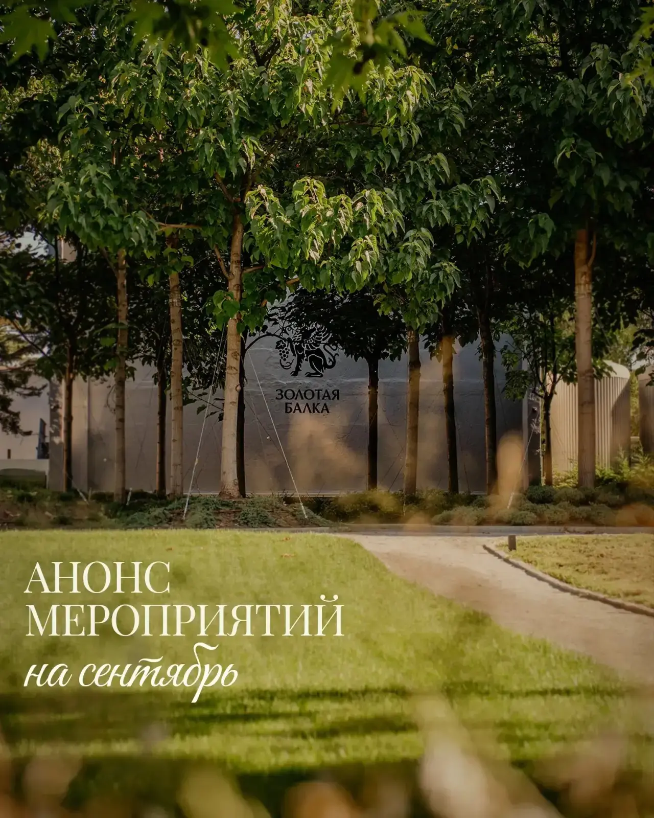 🍇4 сентября отмечаем день Каберне Совиньон