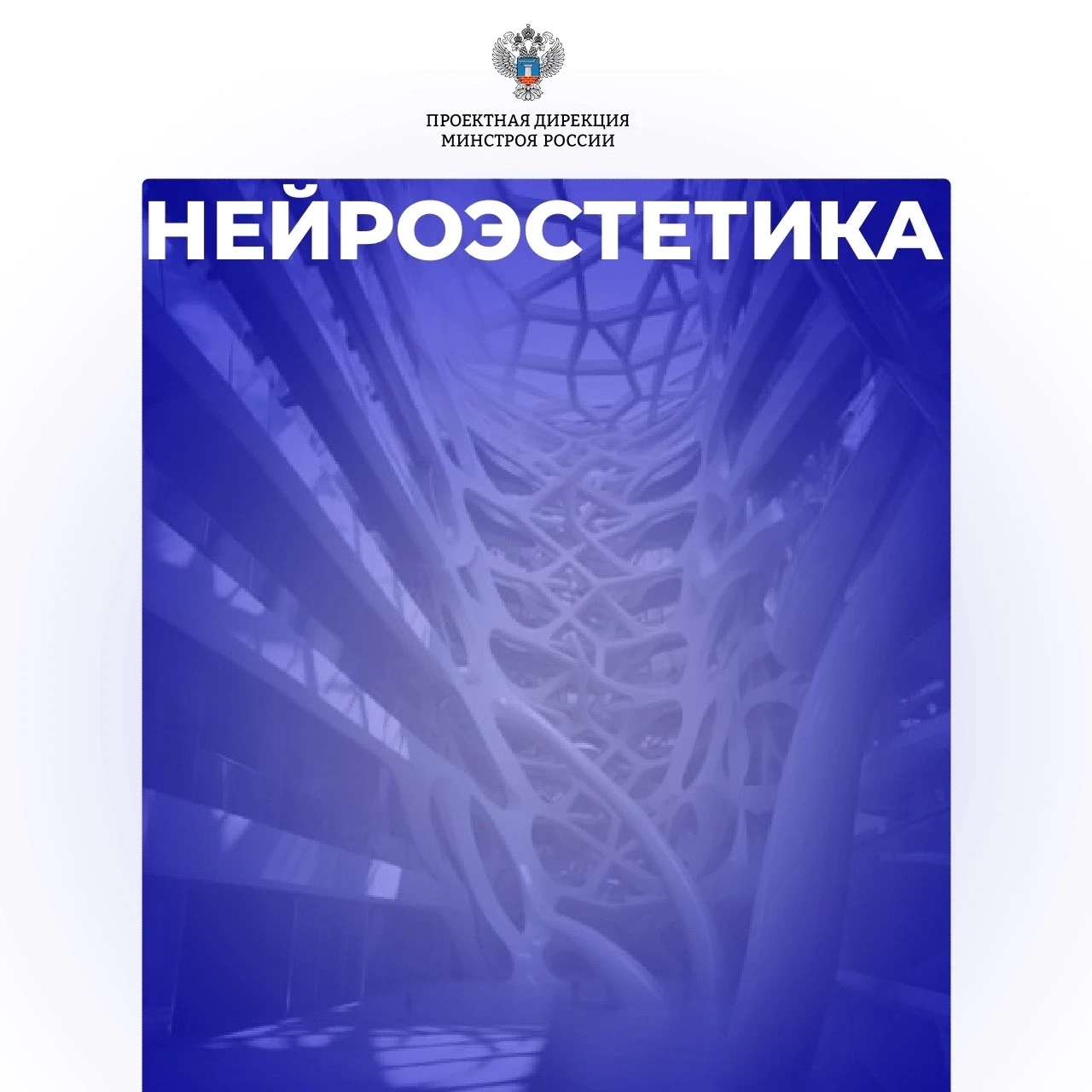 Что такое нейроэстетика и как наука помогает проектировать пространства? Расскажем в нашей рубрике #
