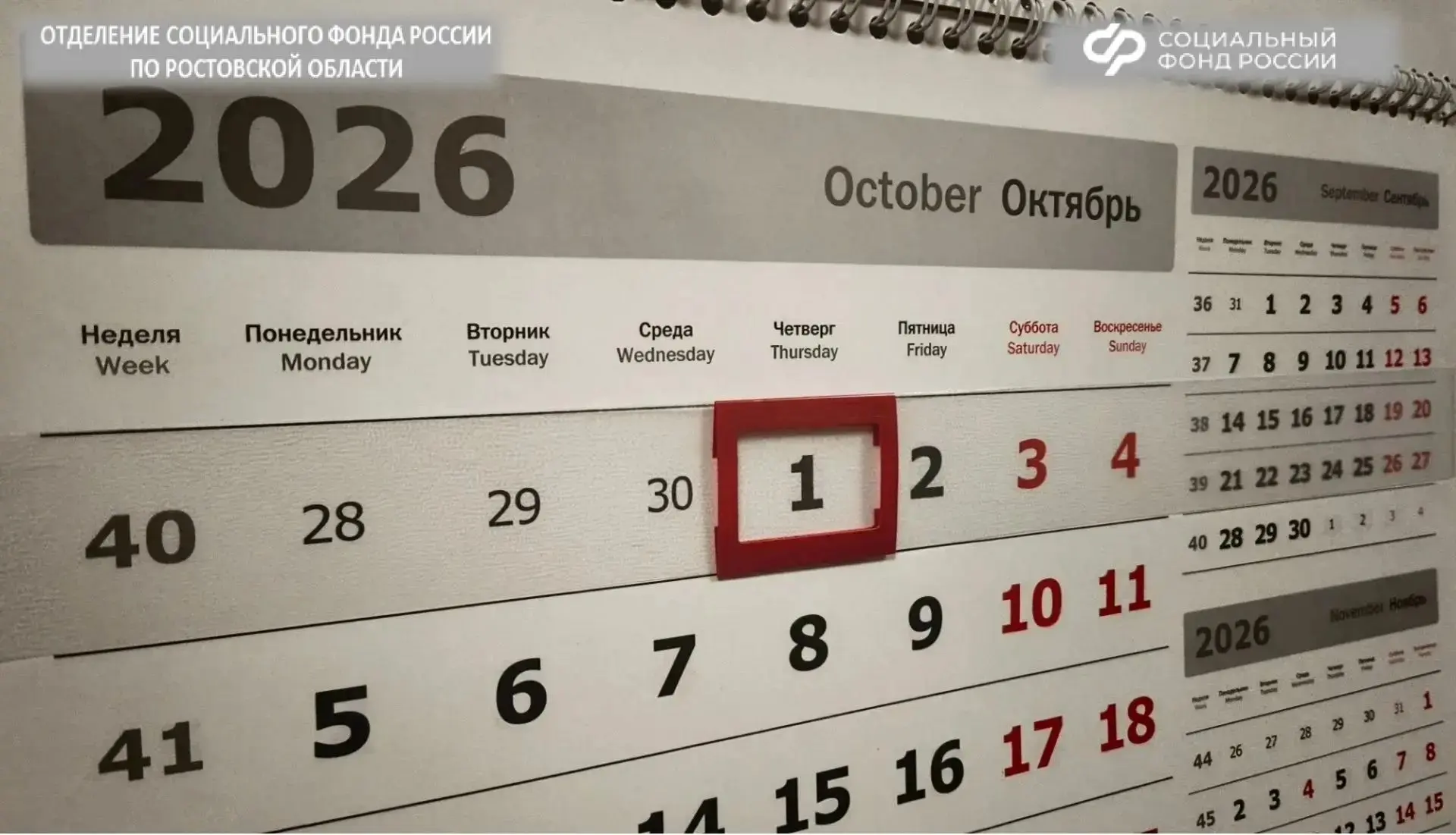 ☎В Отделении СФР по Ростовской области пройдет «горячая линия» по вопросам пенсионного ...