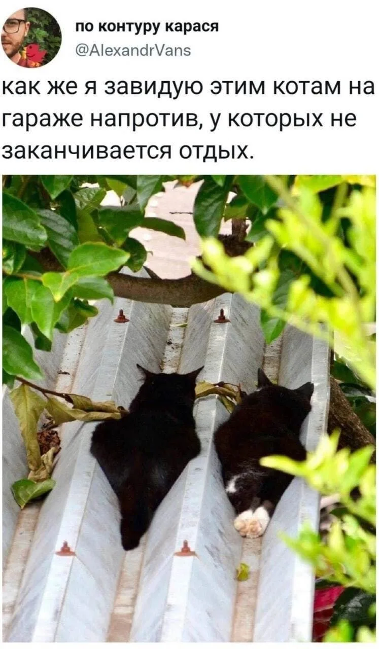 Как же им классно:)