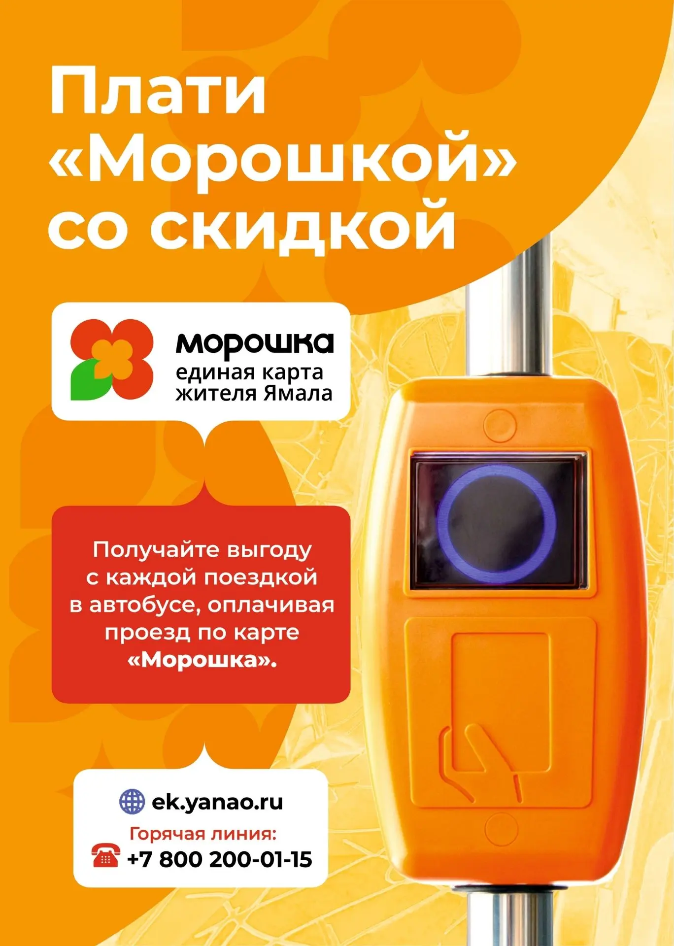 Плати «Морошкой» со скидкой

Получайте выгоду с каждой поездкой в автобусе, оплачивая проезд по карт