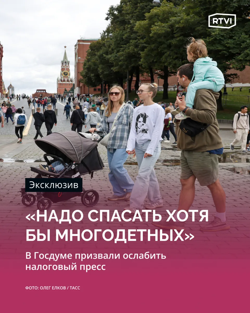 В Госдуме призвали ослабить налоговую нагрузку для многодетных семей.

Экономист, депутат фракции 