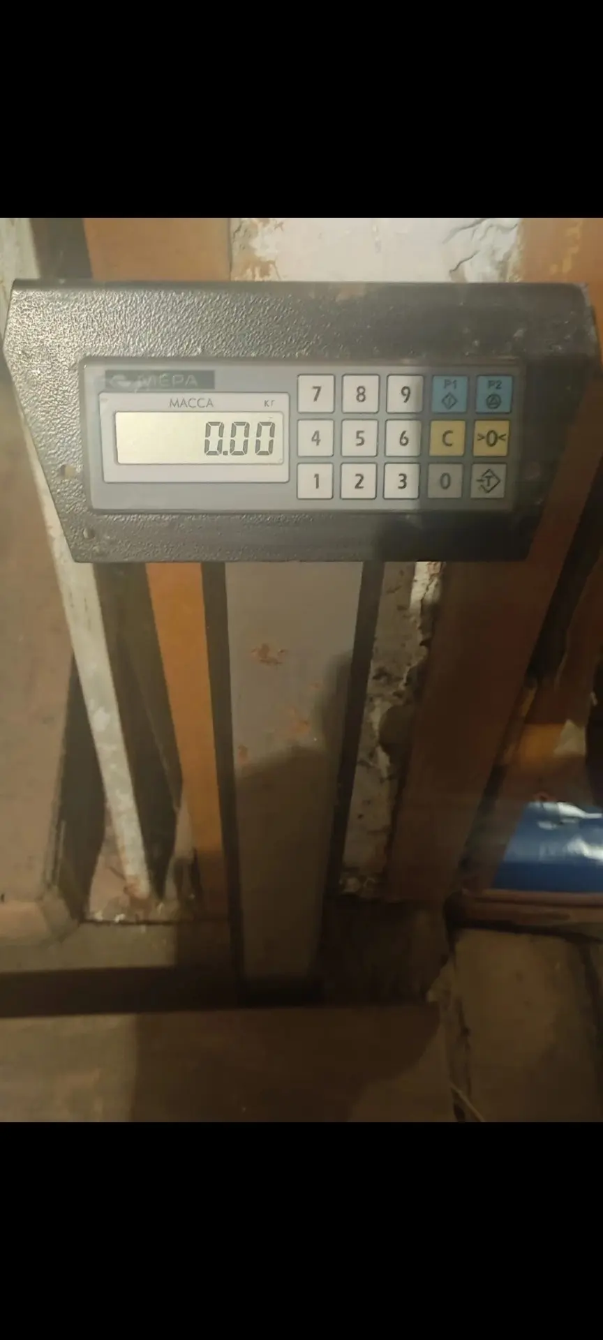 Весы Мера