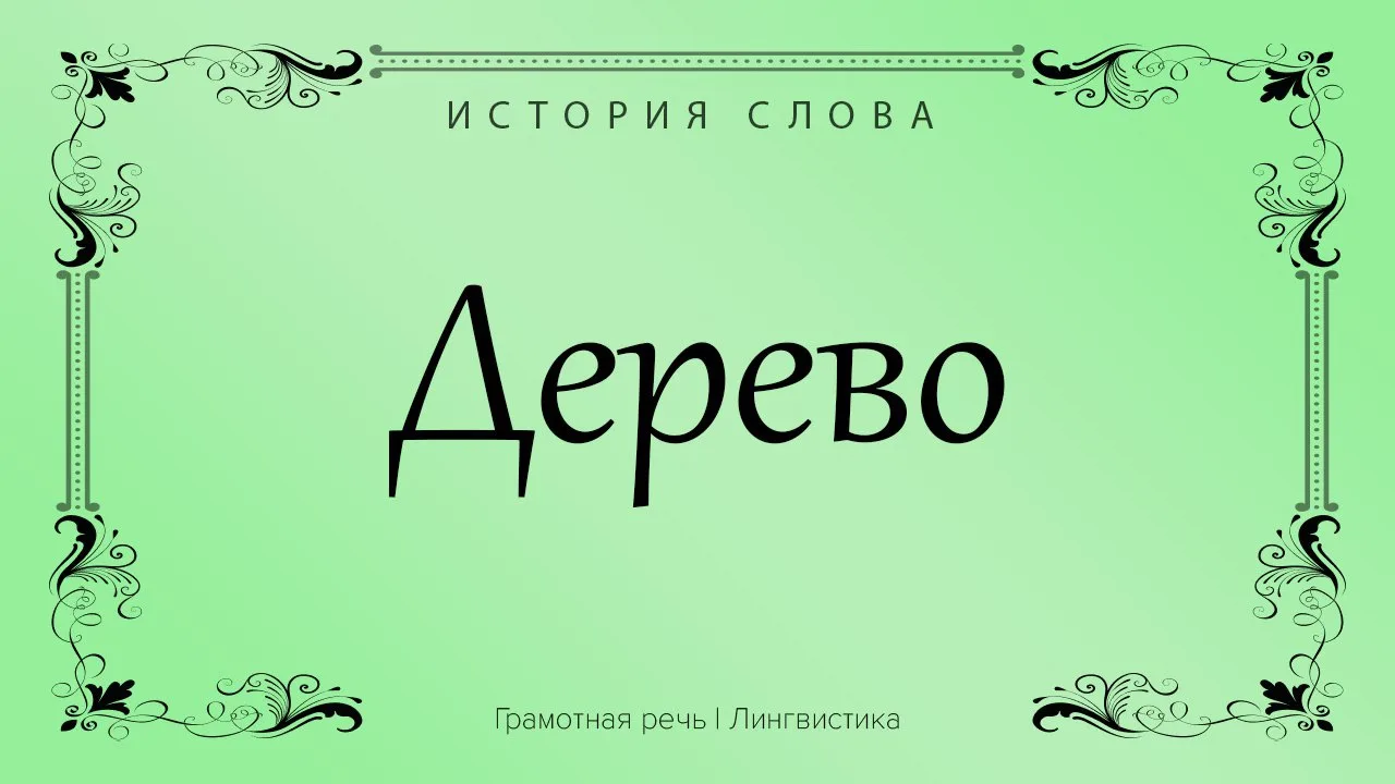 - Слово «дерево» очень древнее общеславянское слово, связанное с индоевропейской осново...