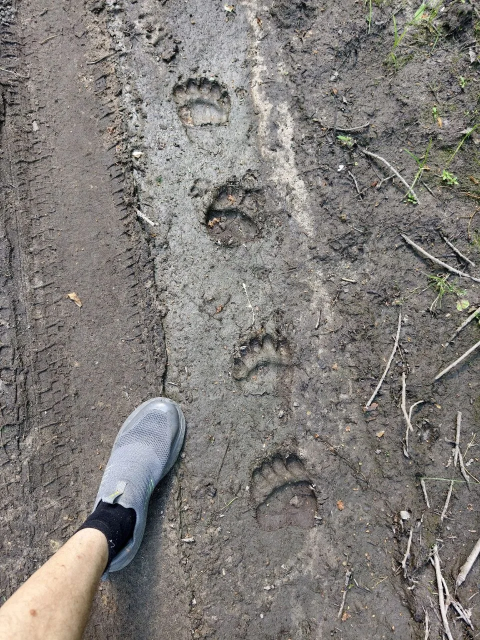 Следы за Протяжкой 🐾

Подписаться