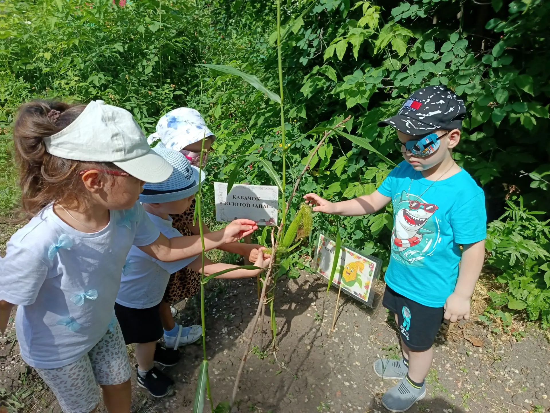 Наш веселый огород 🍅🌽🥬

Сегодня ребята групп компенсирующей направленности 2-4 и 5-7 лет провели 